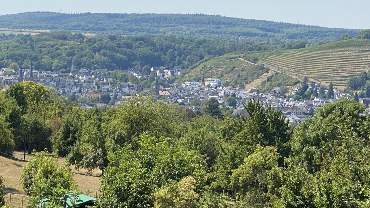 Chebello * Koblenz (Rhineland-Palatinate)